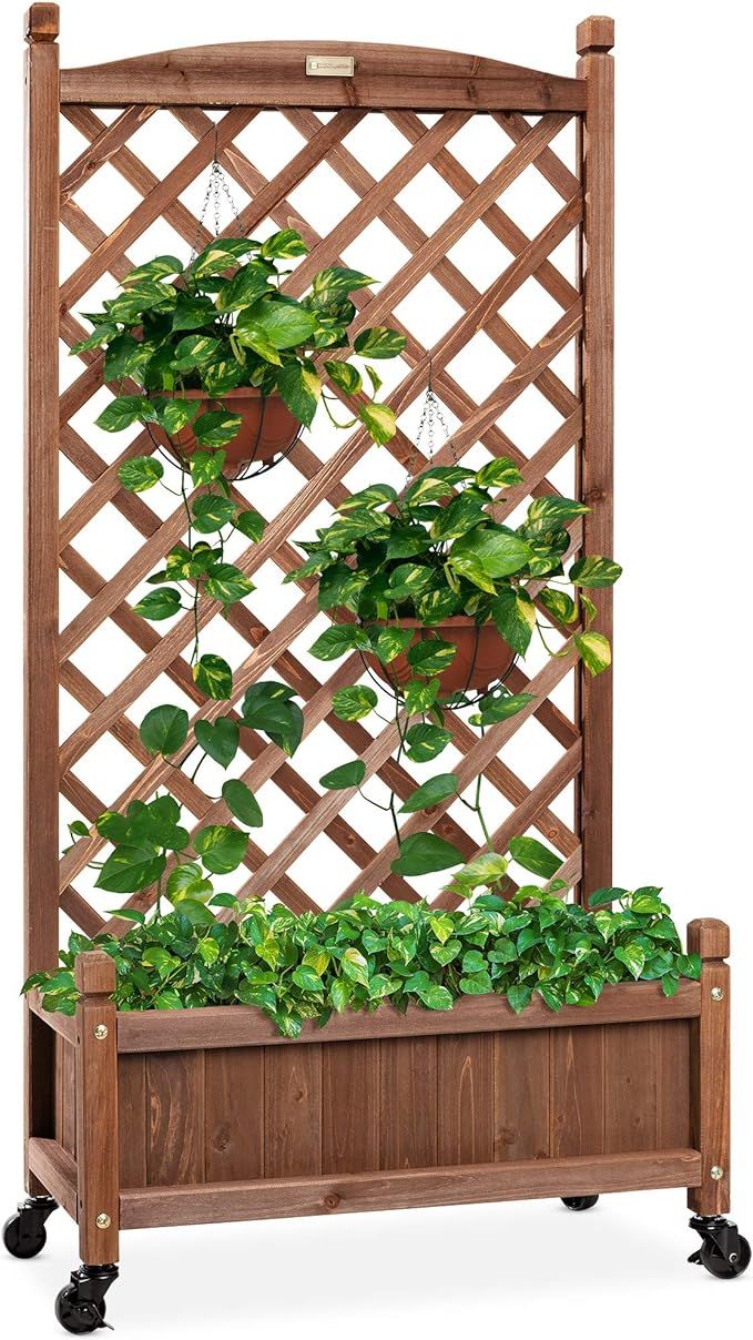 Best Choice Products 60in Wood Planter Box & Diamond Lattice Trellis, Mobile Outdoor Raised Garde... | Amazon (US)