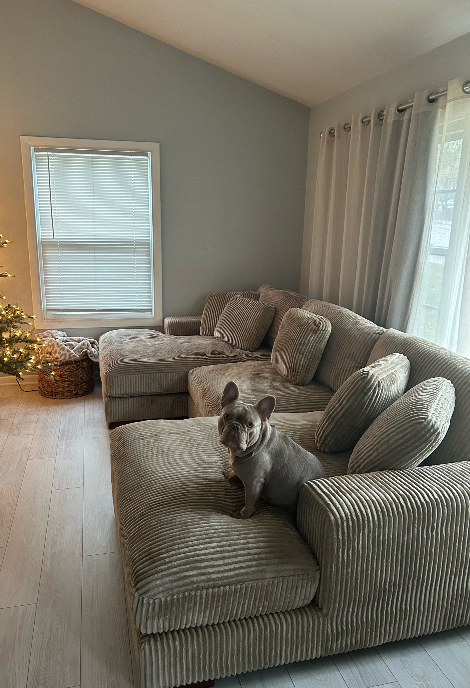 Couch from Wayfair so comfortable and cozy 

#LTKCyberWeek #LTKSaleAlert #LTKHome