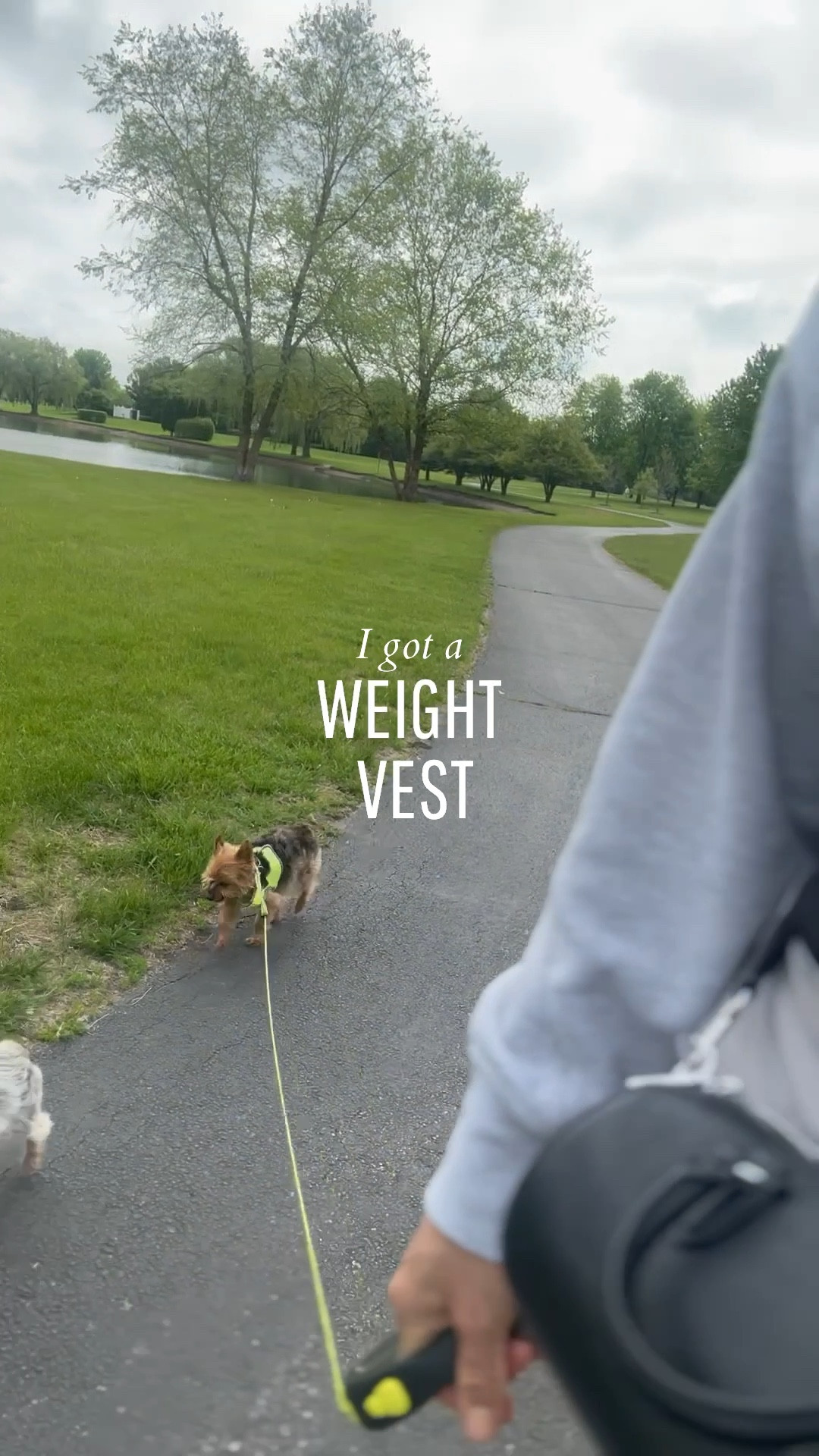 Challenge Accepted: 
Spice up your routine by adding extra weight—?🐾
     Burn More Calories: Turn everyday activities into mini workouts. Walking the pups 🐶 🐶? Why not add some weight for extra burn!
  - woman’s 8lb weighted vest … 
  - high waisted patterned leggings
#ltkactive #ltkover40 #ltkpets

#LTKGiftGuide #LTKFindsUnder100 #LTKFindsUnder50