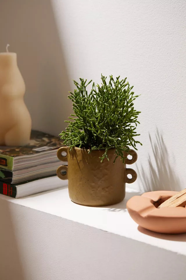 Handled Stoneware Planter | Urban Outfitters (US and RoW)