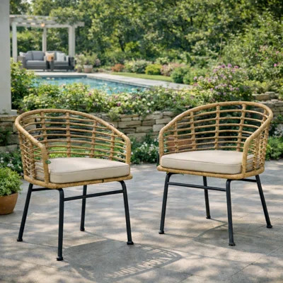 Wicker Outdoor Dining Chairs with cushions | Wayfair North America
