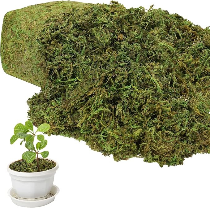 17.6 OZ Artificial Moss for Potted Plants,Natural Fake Moss Grass Fresh Green Moss for Hamsters,C... | Amazon (US)