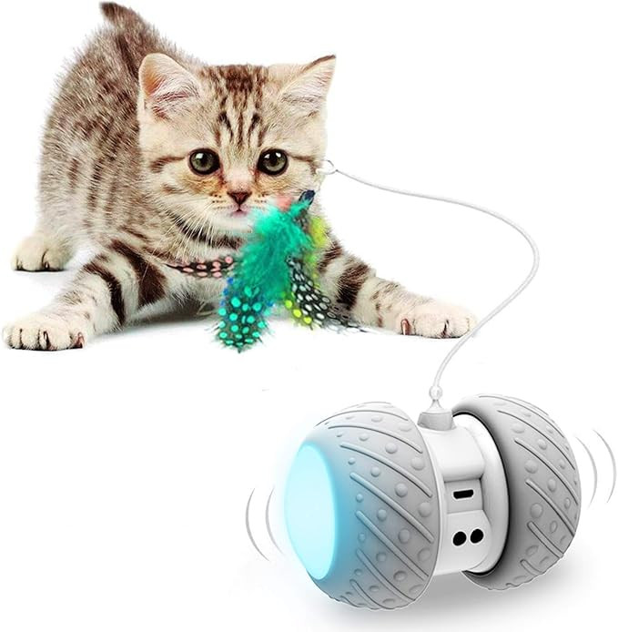 Interactive Robotic Cat Toys,Automatic Irregular USB Charging 360 Degree Self Rotating Ball,Autom... | Amazon (US)