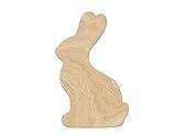 Chocolate Bunny Wood Cutouts for crafts, Laser Cut Wood Shapes 5mm thick Baltic Birch Wood, Multiple | Amazon (US)