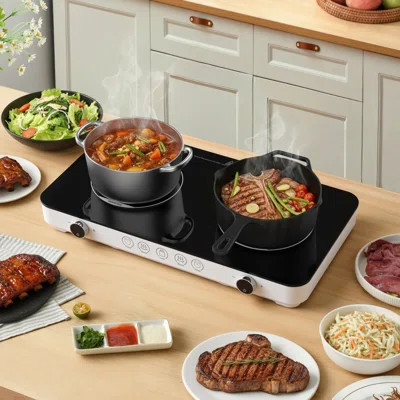 Double Induction Cooktop Burner,1800w Portable Induction Cooktop With 8 Temp & Power Levels, Kids Lock & Timer,portable Induction Cooker With 2 Burner | Wayfair North America