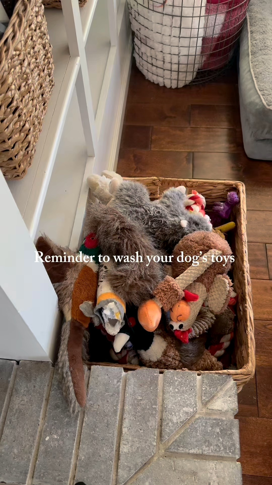 I use the Tide Clean & Gentle detergent to wash Archie’s toys! 

Might also be time to get him a new toy basket!! 

#LTKHome #LTKmomlife