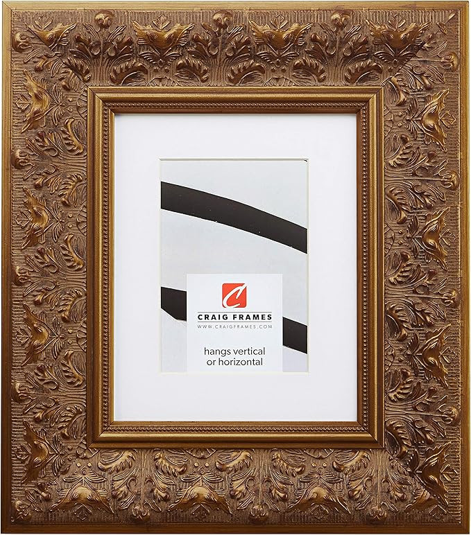 Craig Frames Borromini, 24 x 36 Inch Gold and Bronze Picture Frame Matted to Display a 20 x 30 In... | Amazon (US)