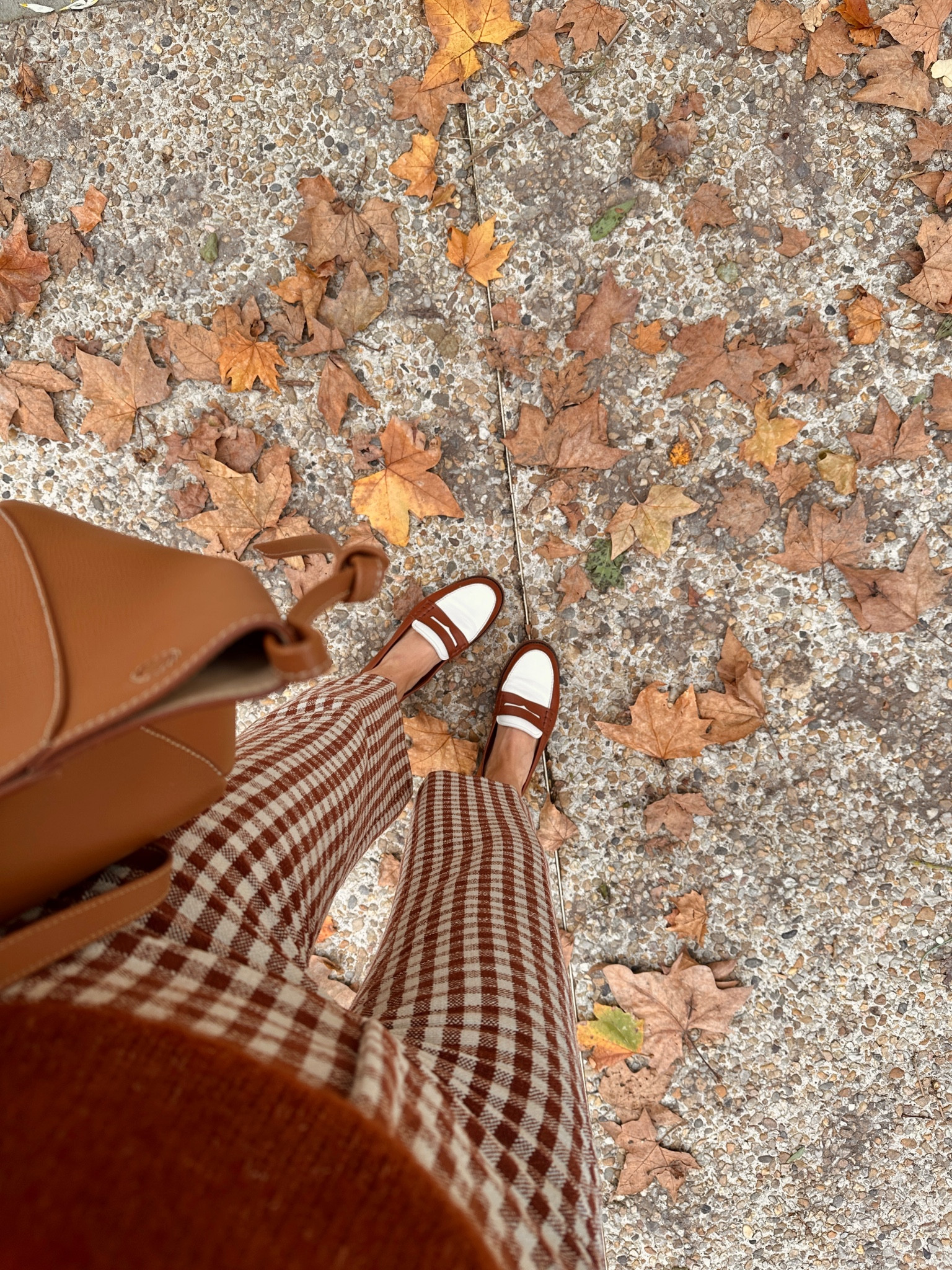 Fall 🍁