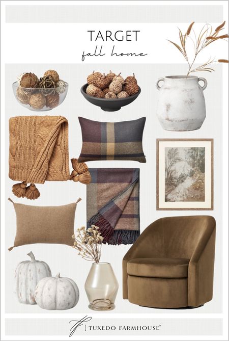 Fall home decor and furniture from Target. 

Fall decor, bowl fillers, throws, pillows, vases, wall art, accent chairs, pumpkin decor  

#LTKunder50 #LTKSeasonal #LTKhome