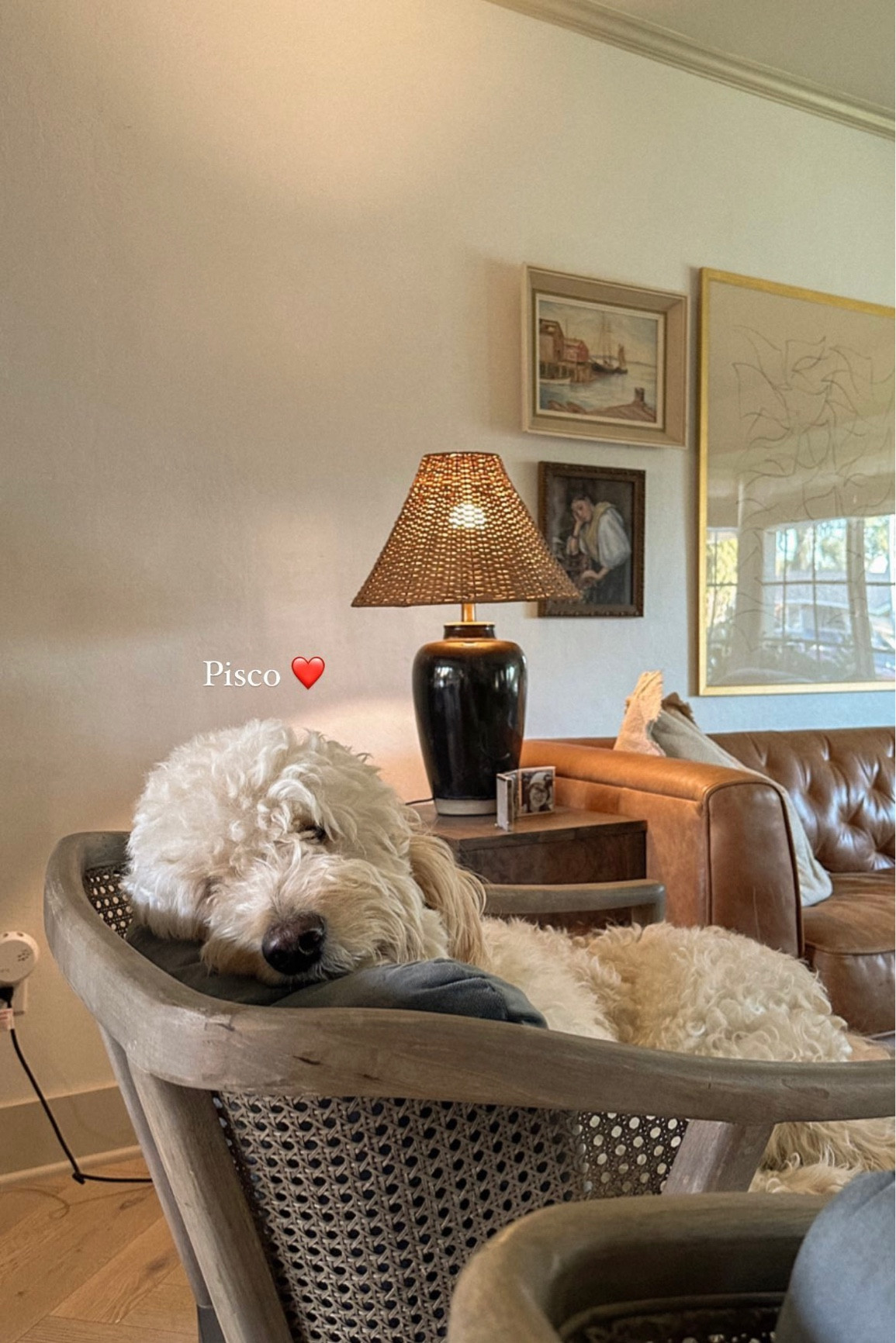 All about this living room view 💕👇🏼 (my favorite leather sofa is 12% OFF)
-
Home decor. Furniture. Fall decor. Sale alert. 

#LTKhome #LTKsalealert