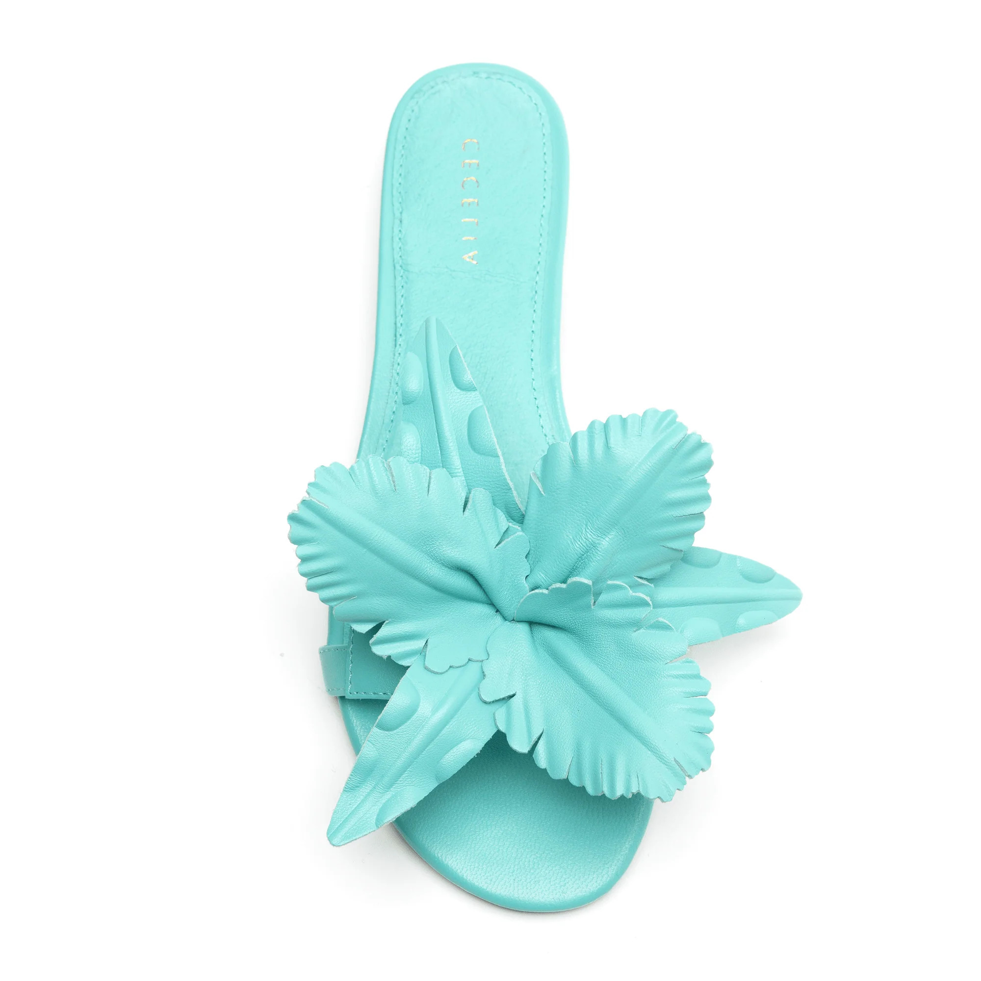 LILA | Cecelia New York