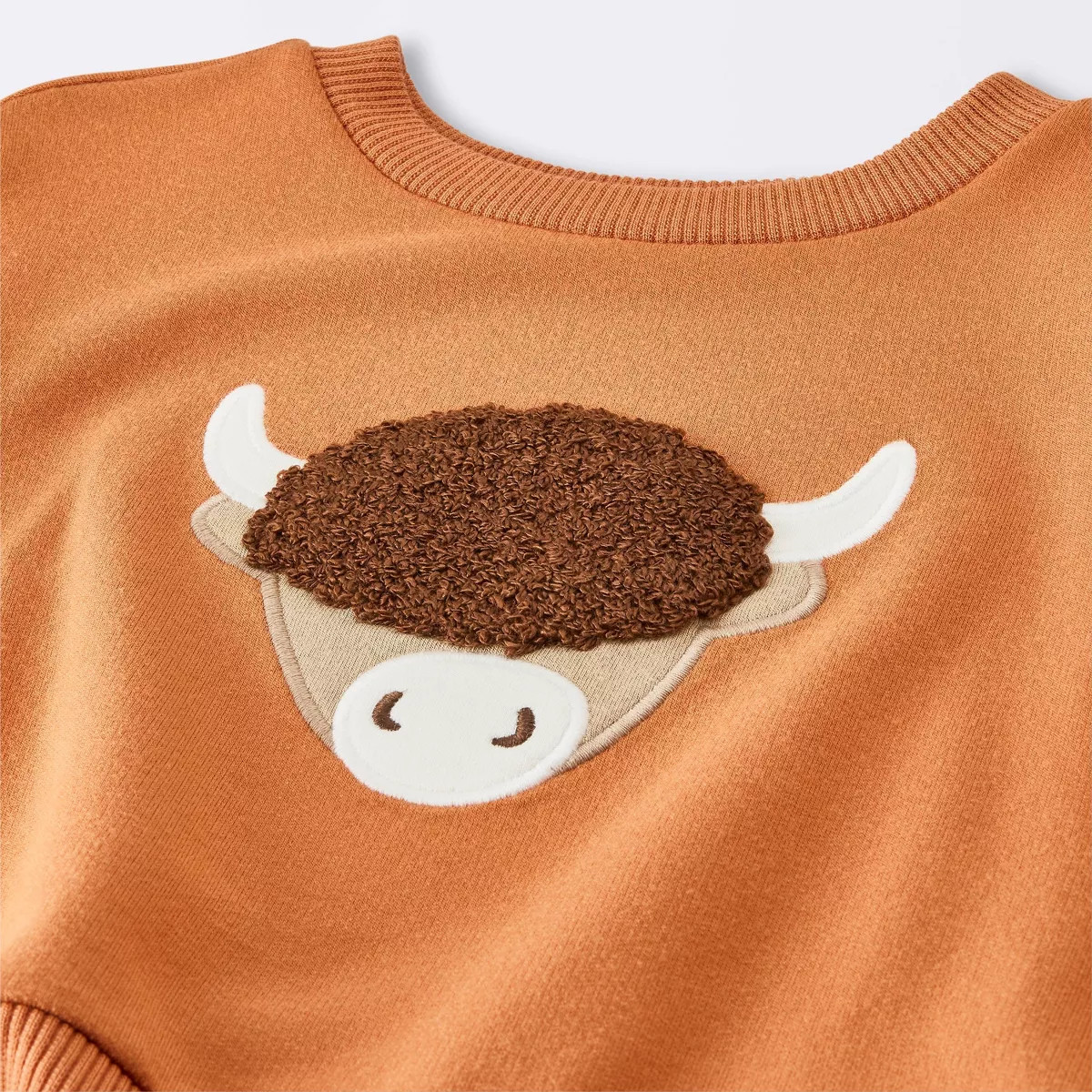 Baby Boys' Highland cow Sweatshirt and Pants Set - Cloud Island\u2122 Orange 6-9M | Target