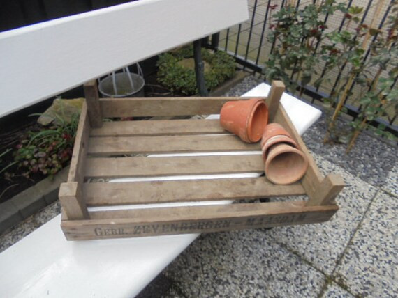 Vintage Tulips Box/old Box for Tulips Bulbs Screen | Etsy | Etsy (US)