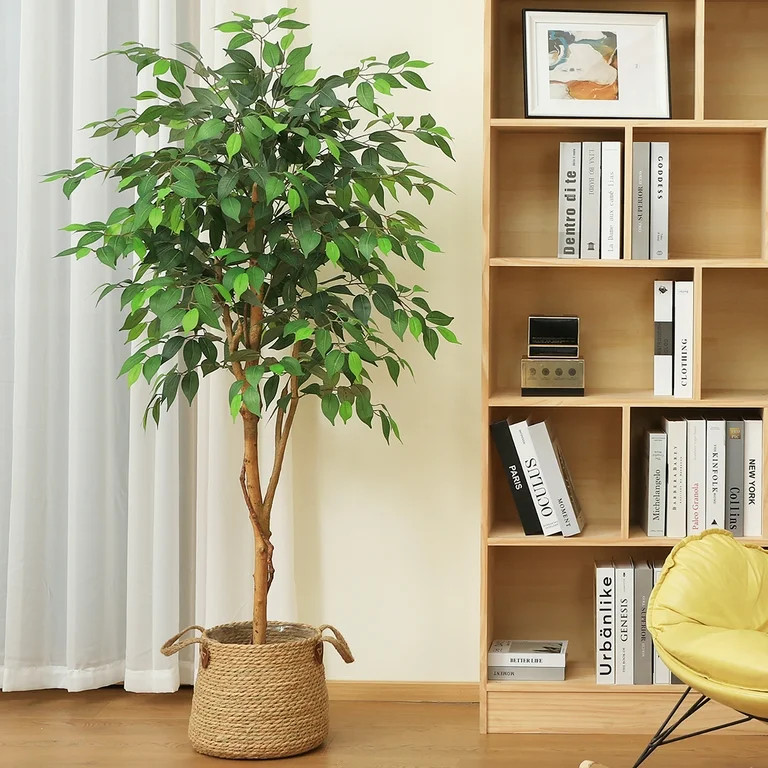 5FT Artificial Ficus Tree with Wood Trunk for Living Room, Plant in Black Plastic Pot. DR.Planzen | Walmart (US)