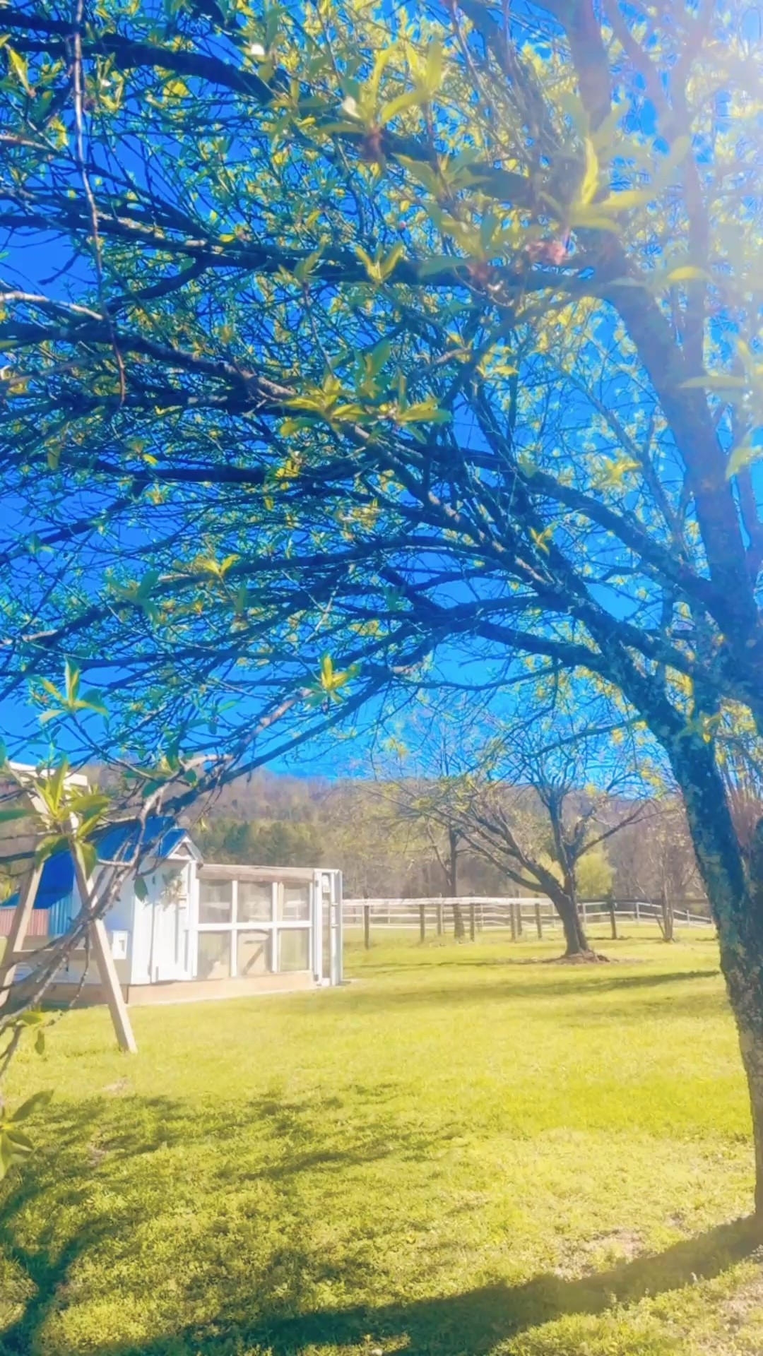 when your hubby builds you the chicken coop 🐓🪵 of your dreams 🤭💭 on the farm sweet farm 🚜🤠 you have prayed for since you met 🥹🫶🏽 #thankyoujesus #bestanniversarygiftever #handmadeanniversarygift