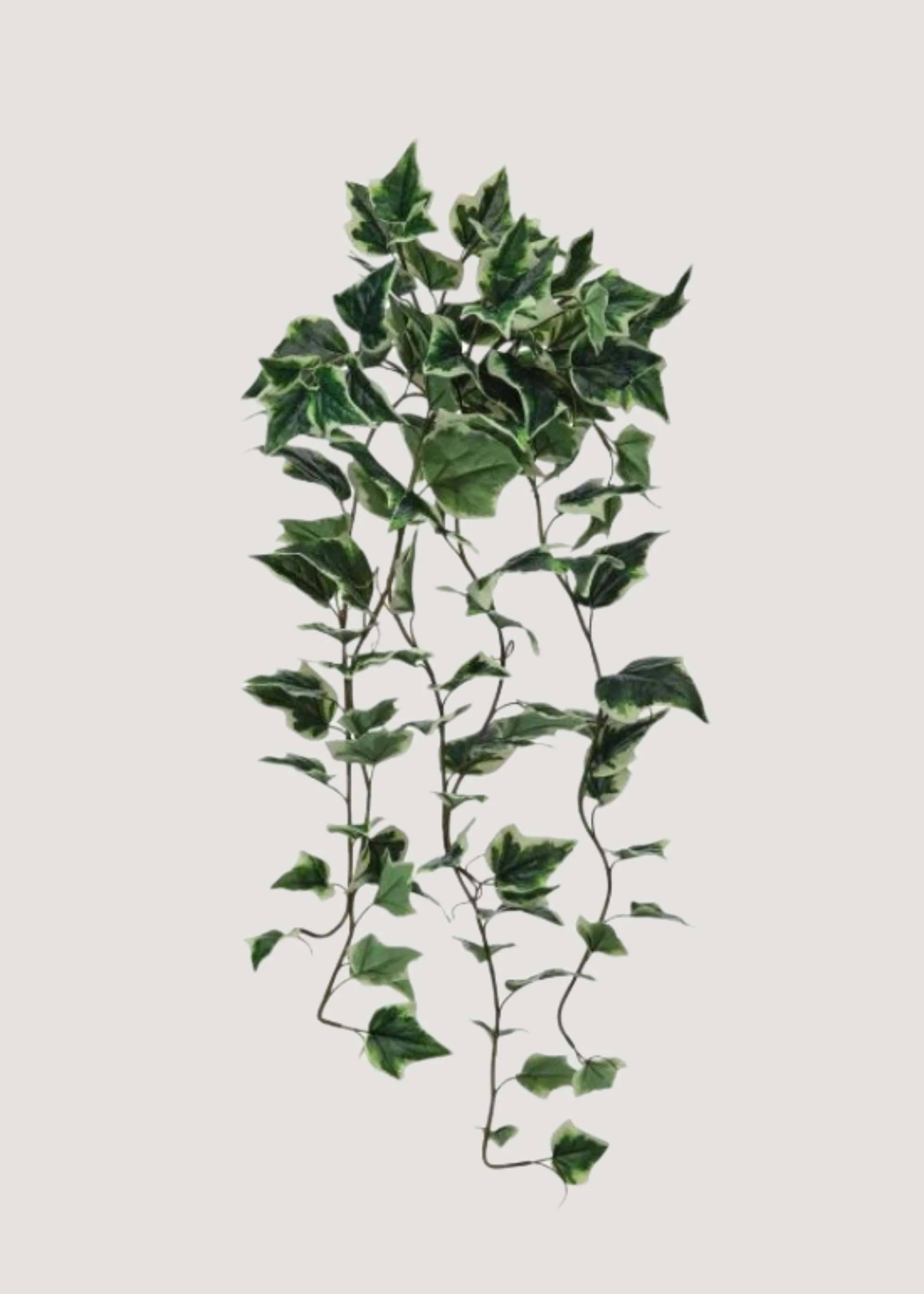 Fake Natural Touch Plants at Afloral | Afloral