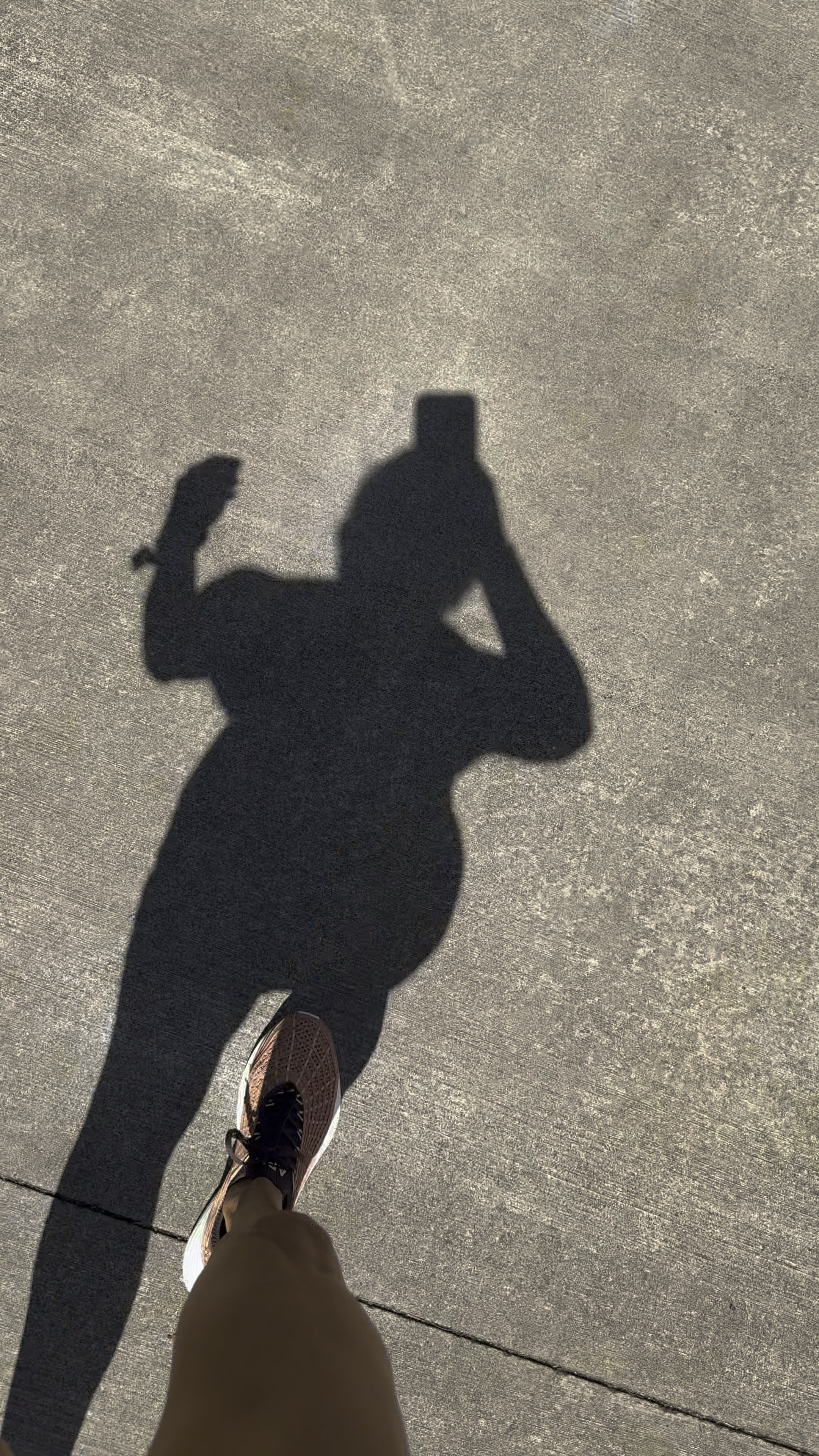 Wearing the cutest new APL sneakers 👟

#LTKActive #LTKShoeCrush #LTKVideo