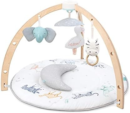 aden + anais Play and Discover Baby Activity Gym – 30+ Developmental Benefits - 3 Attachable To... | Amazon (US)