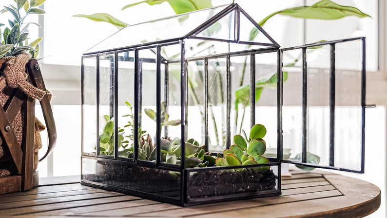 Urban Born Large Terrarium Greenhouse, Glass and Metal Indoor Display Case, Unique Gift Idea, Suc... | Etsy (Global)