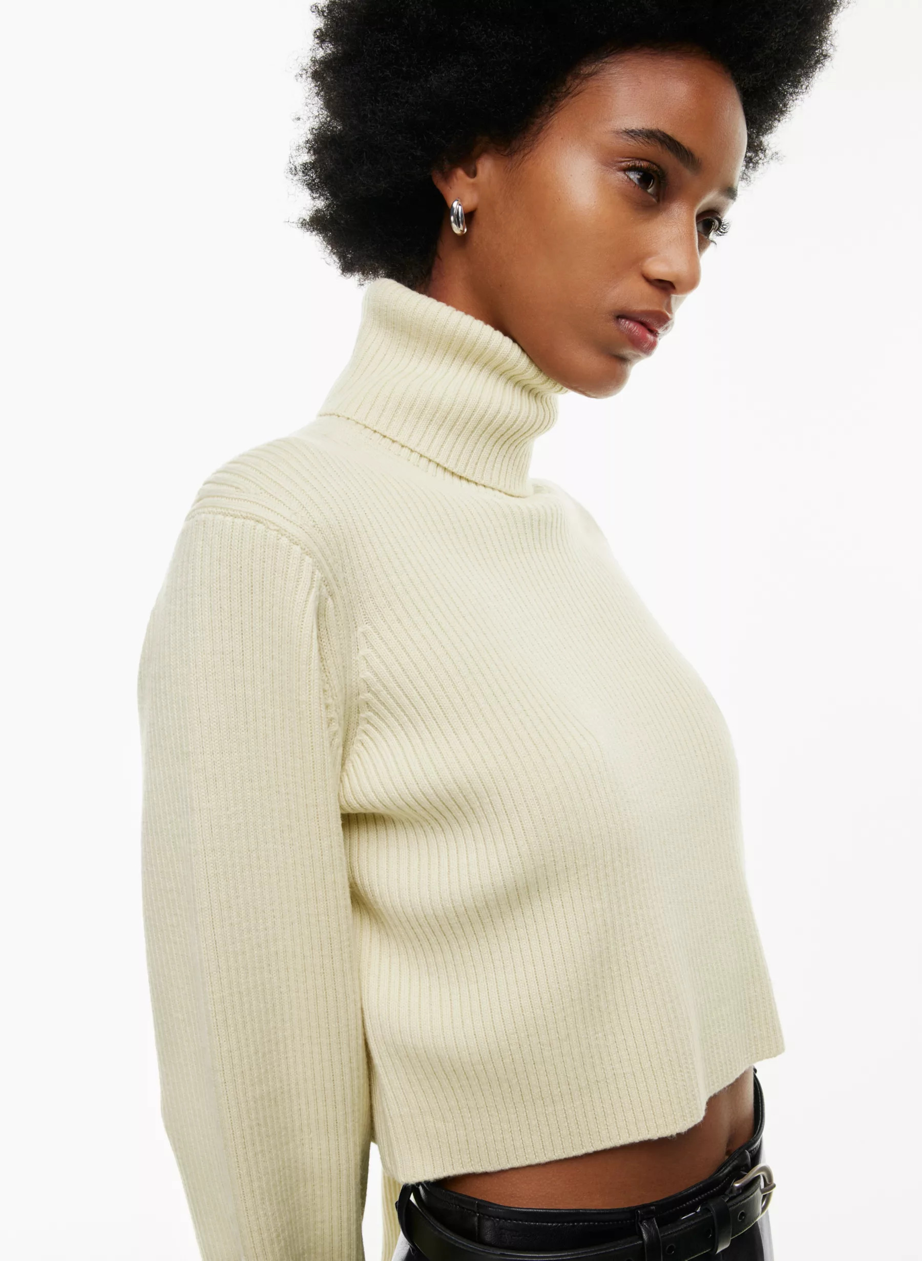 REBECCA TURTLENECK | Aritzia