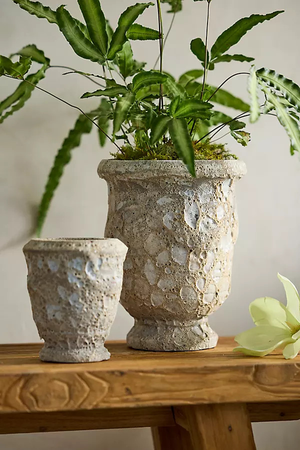 Barnacle Anduze Urn | Terrain