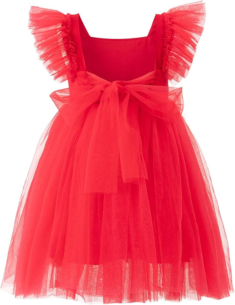Tutu.kk Toddler Girls Vintage Party Dress Ruffled Sleeve A-Line Tulle Flower Girl Dresses for Wed... | Amazon (US)
