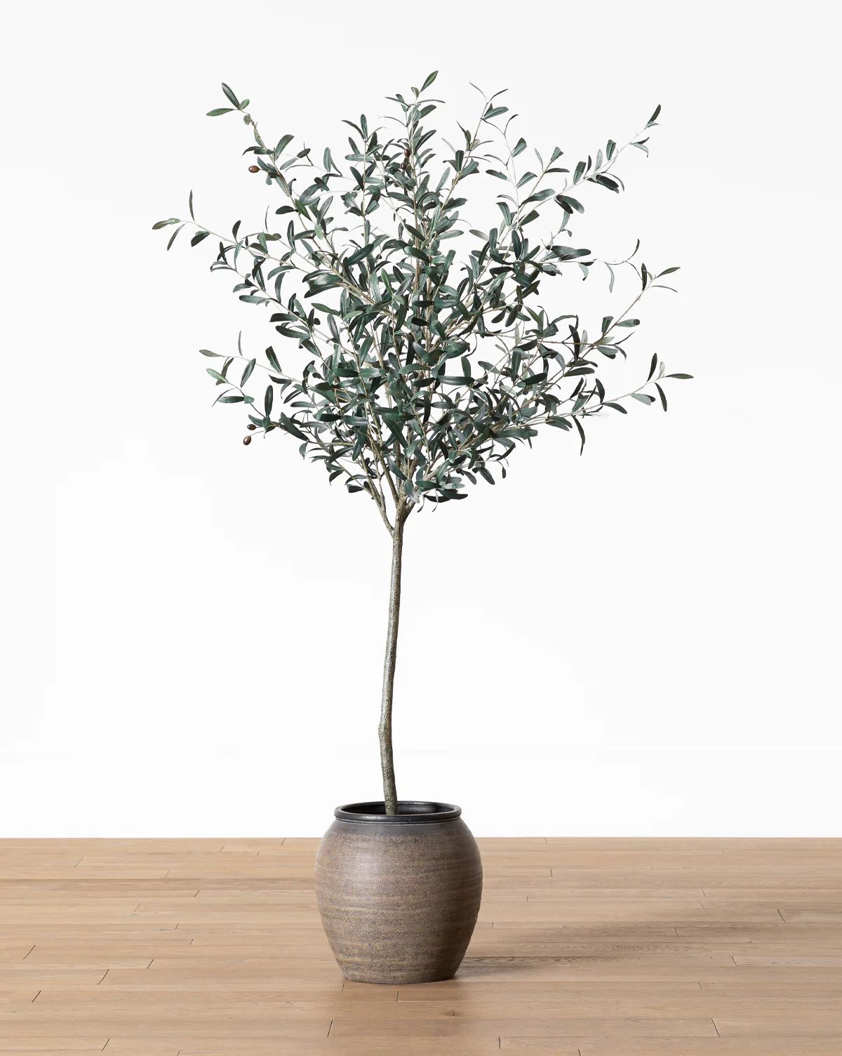 Faux 72" Olive Tree with Ceramic Pot | McGee & Co. (US)