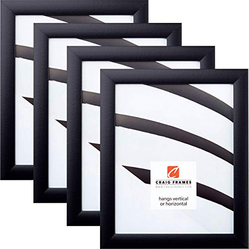 Craig Frames 1WB3BK 24 x 36 Inch Picture Frame, Black, Set of 4 | Amazon (US)