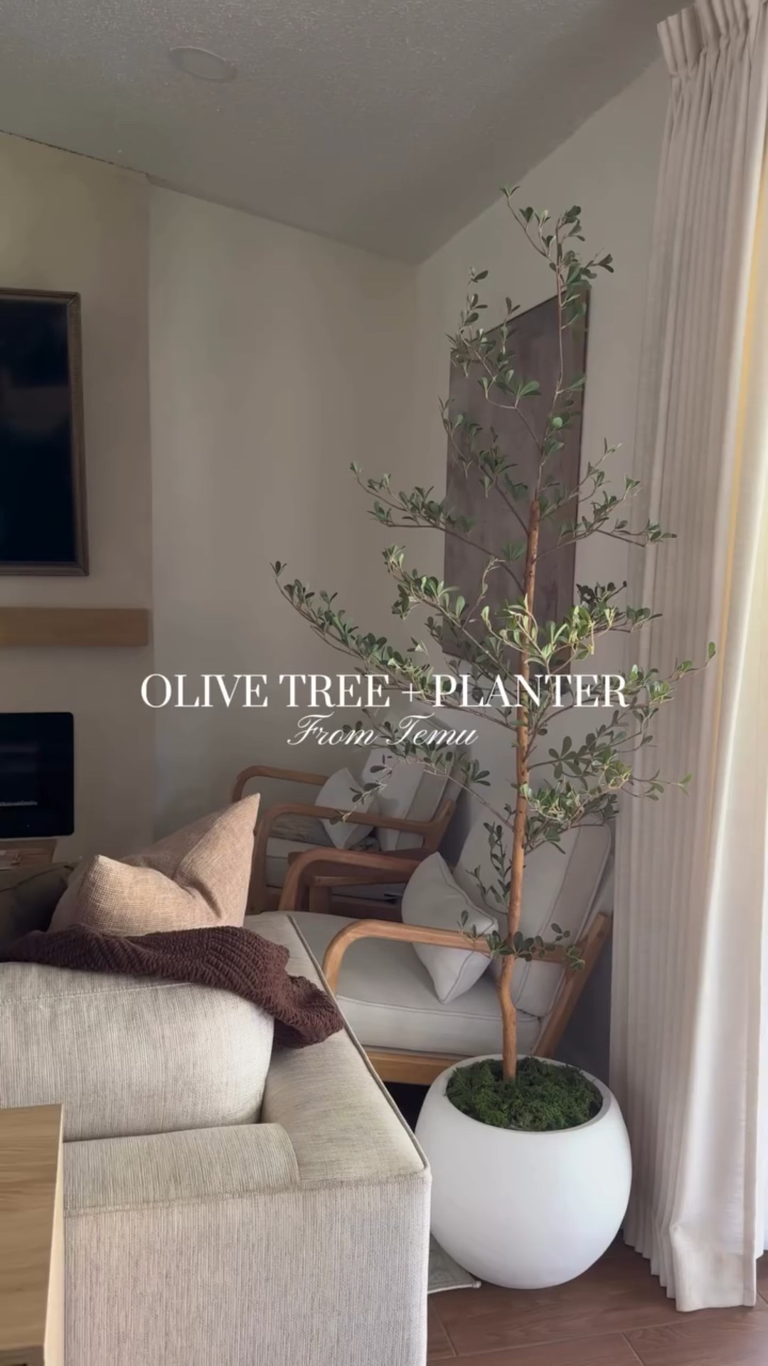 So impressed with this 6” olive tree and the planter from Temu 🙌🏼

Comment “FALL” & I’ll DM you the link 🔗 

Search Code: dys3363 on the Temu app search bar for extra discounts!! Temu New App Users ONLY! 🔥 

.
.
.
.
.
.

#temu #shoptemu #temufinds #temulifestyle
#temumusthaves #neutralaesthetics #temuchair #homedecor #neutral
