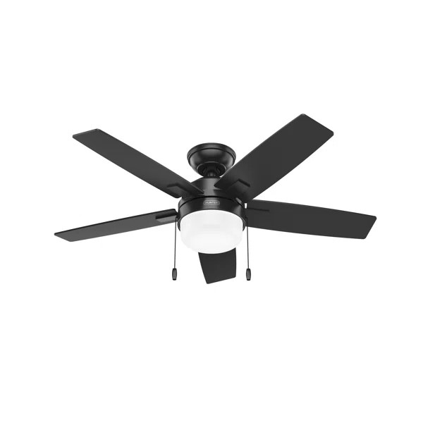 44" Anisten 5 - Blade Ceiling Fan With LED Light Kit And Pull Chain | Wayfair North America