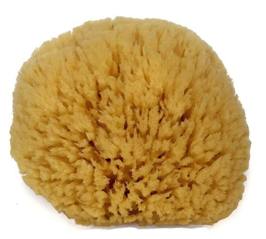 Amazon.com : Natural Sea Sponge 6-7" by Spa Destinations "Creating The At-Home Spa Experience" : ... | Amazon (US)