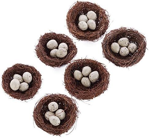 Factory Direct Craft Group of 6 Natural Angel Vine 3 Inch Bird Nests with 0.75 Inch Miniature Spe... | Amazon (US)