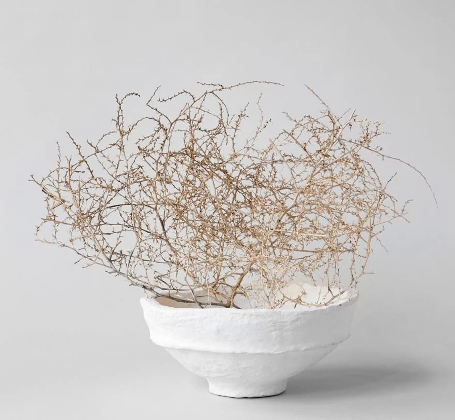 Extra Large Authentic Colorado Tumbleweed | Etsy (US)