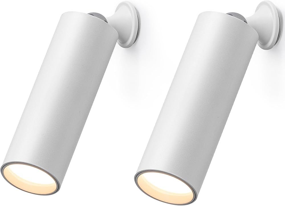 KDG LED Wall Sconces Mounted Cordless Lights, 2700K Dimmable Portables Warm Light Wall Lamps, Rec... | Amazon (US)