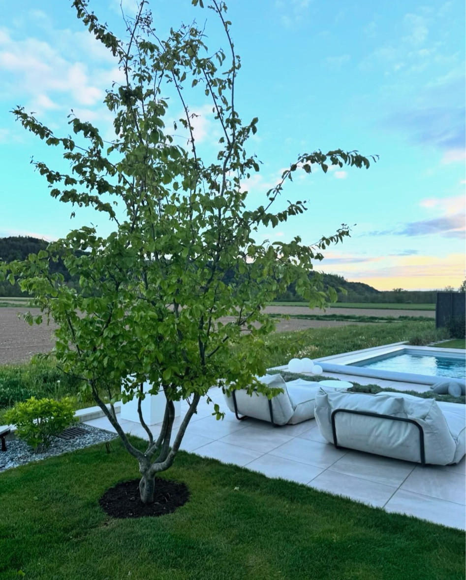 Sitting by the pool 🌲

#LTKeurope #LTKdeutschland #LTKsummer