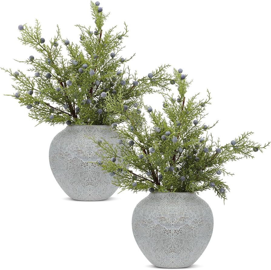 Giegxin 6 Pcs 18 Inch Artificial Juniper Cedar Sprays and Berries Branch Faux Cedar Stems Weather... | Amazon (US)