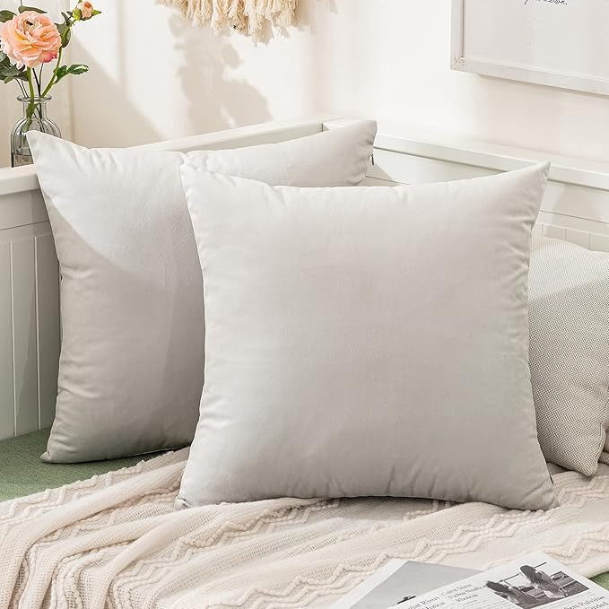 MIULEE Pack of 2, Velvet Soft Solid Decorative Square Throw Pillow Covers Set Cushion Cases Pillo... | Amazon (US)