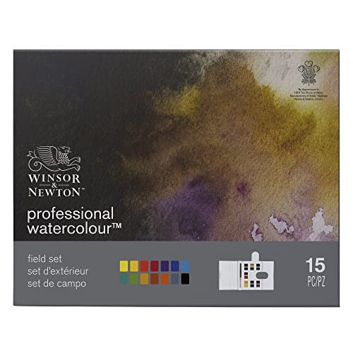 Winsor & Newton Professional Watercolor Paint Set, Field Box, 12 Half Pan | Amazon (US)