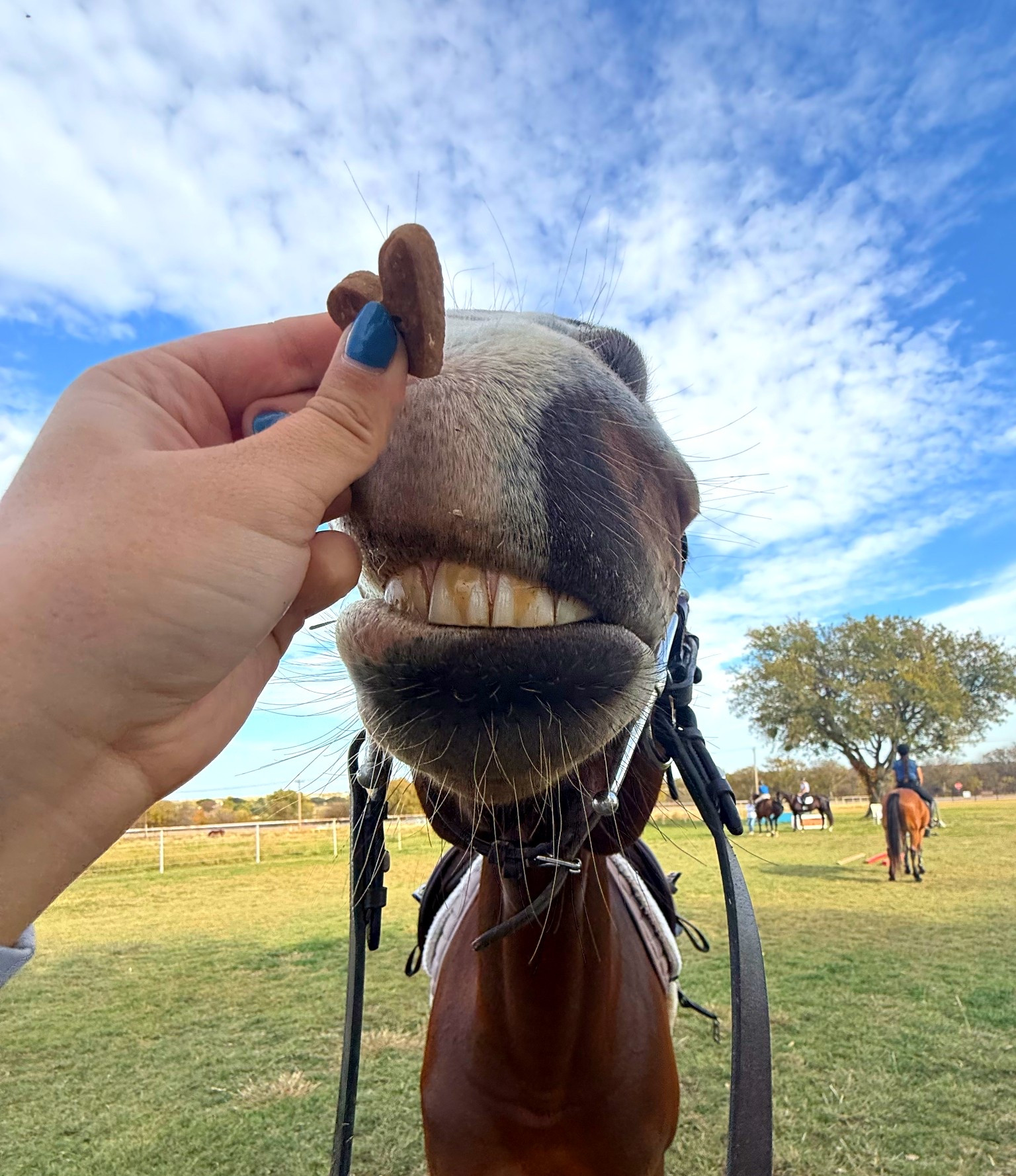 This is my tried & true nail routine that costs <$20 per set and lasts for up to TWO weeks! They survive a million hand washings plus the barn, and most of the time I’m having to take them off after 2 weeks because they look too grown out. ALWAYS lightly rough up your nail with the file before applying the nail dehydrator to get long lasting results! 💅🏻

#LTKdayinmylife #LTKgrwm #LTKselfcare