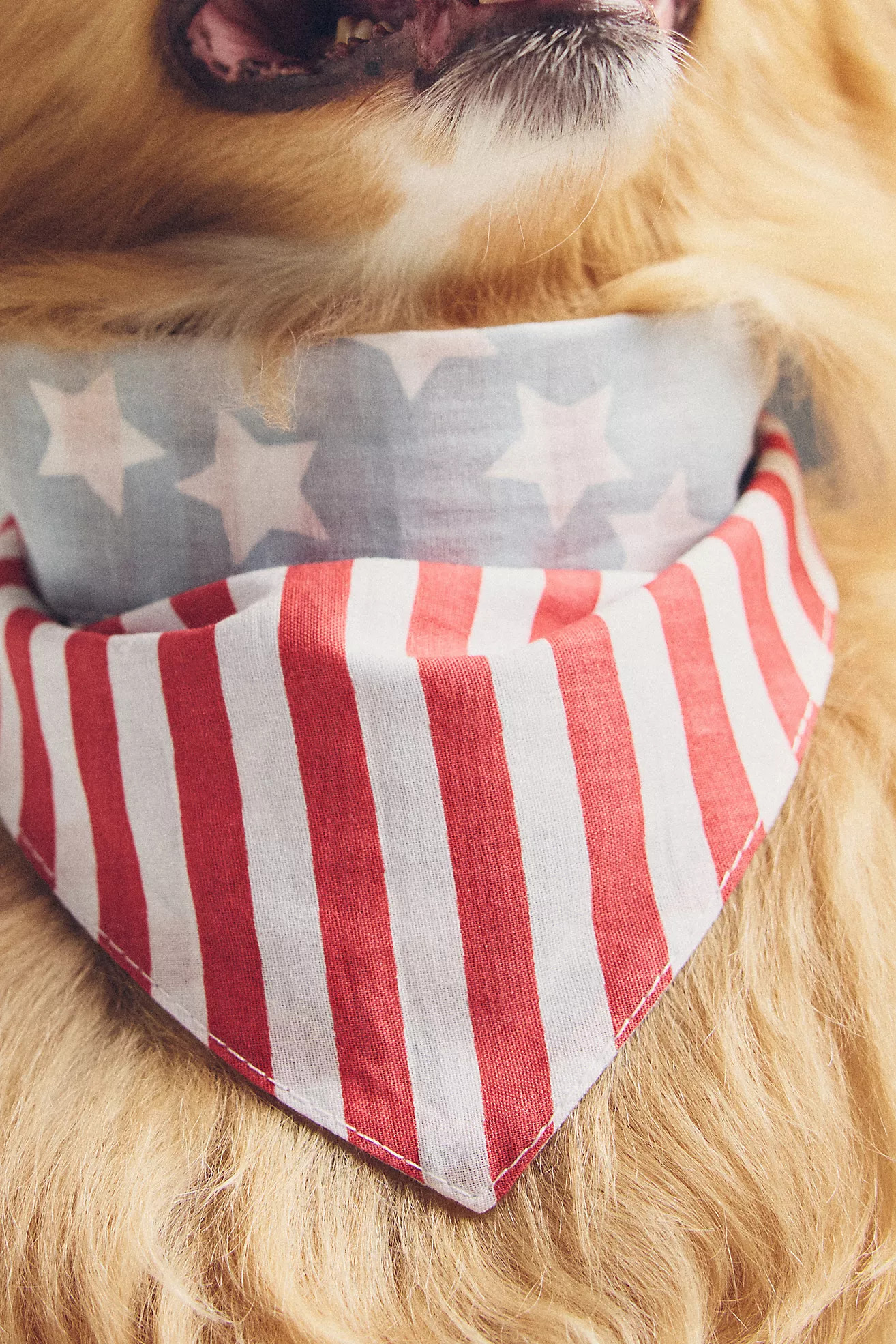 FURB Summer Pet Bandana | Anthropologie (US)