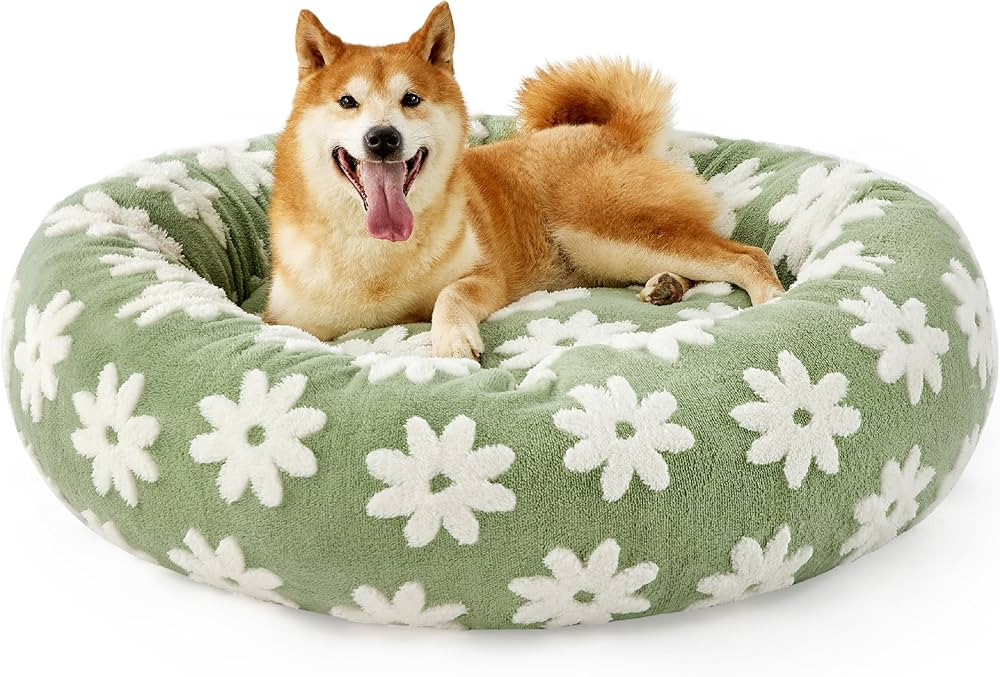 Lesure Donut Small Dog Bed - Round Cat Beds for Indoor Cats Anti-Anxiety Calming Pet Beds, Washab... | Amazon (US)