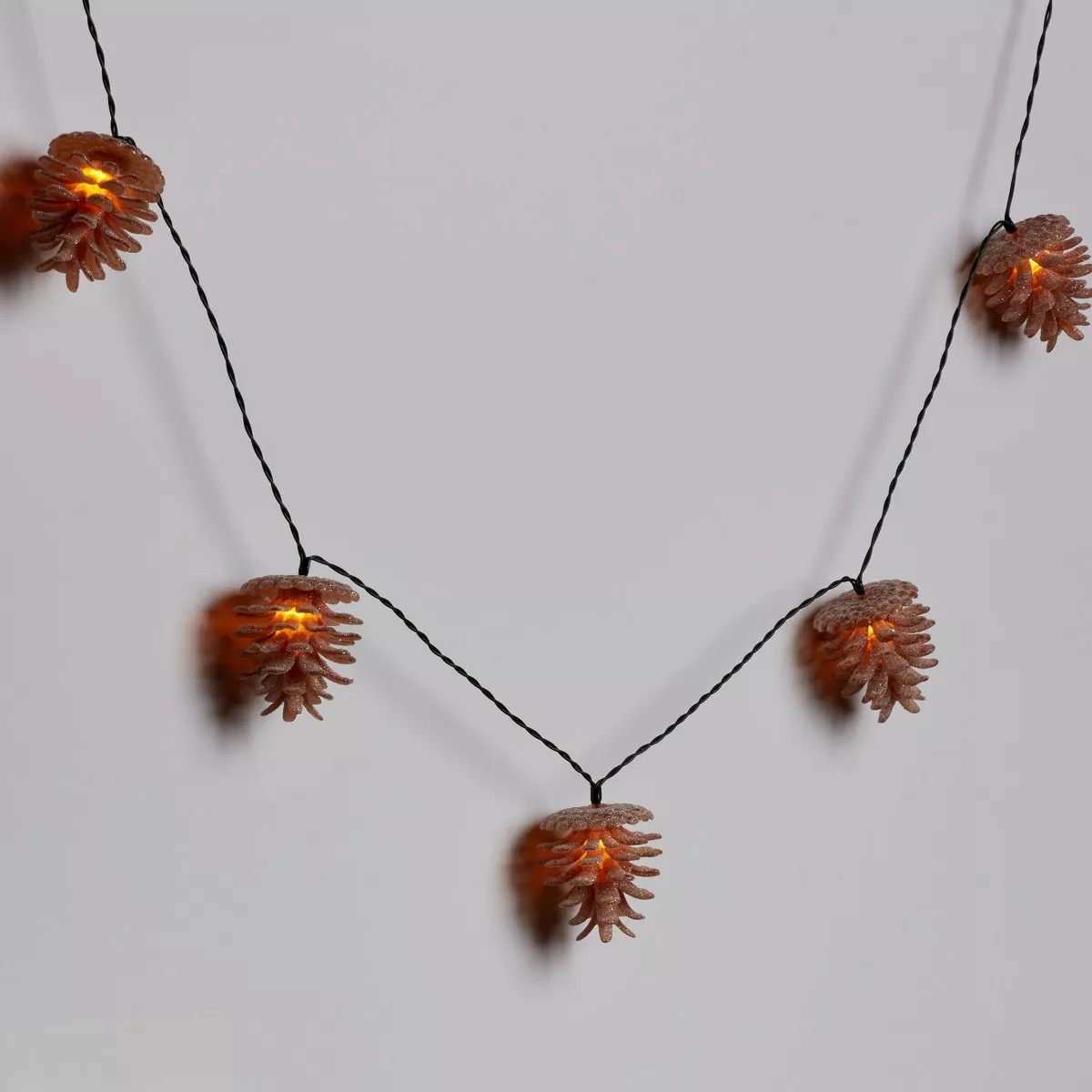 10ct LED Sugared Pinecone Christmas Indoor Novelty String Lights Warm White with Green Wire - Won... | Target