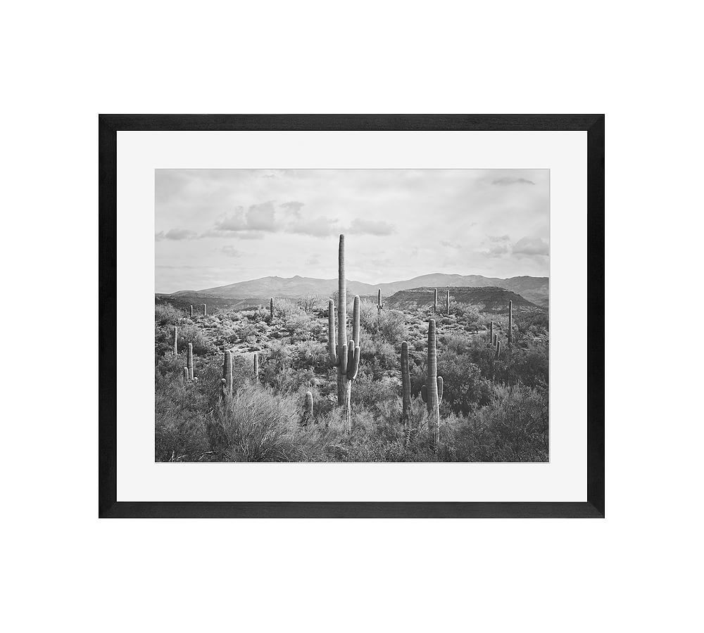 Saguaro Desert Landscape By Jennifer Meyers | Pottery Barn (US)
