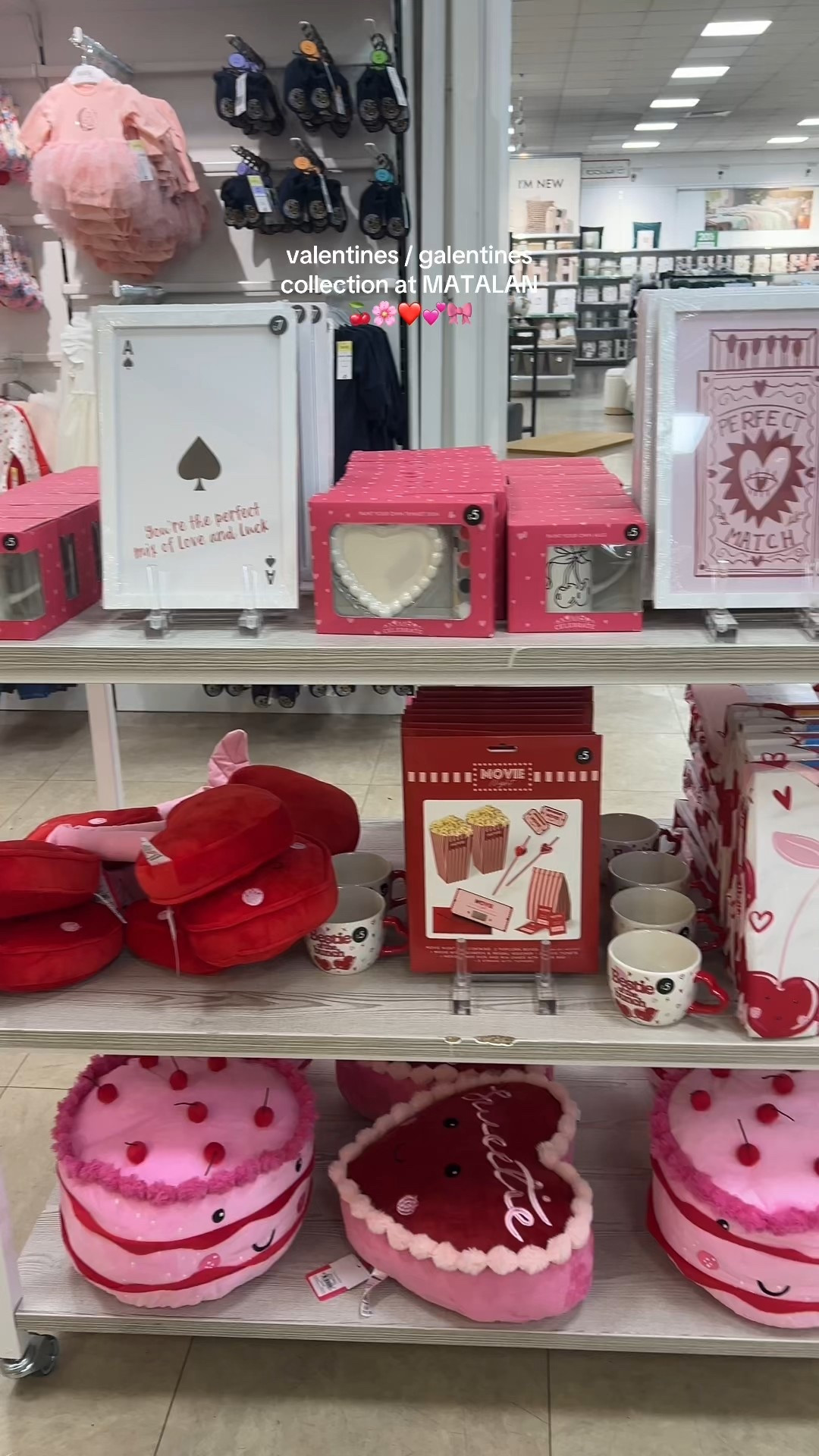 Valentines / galentines 