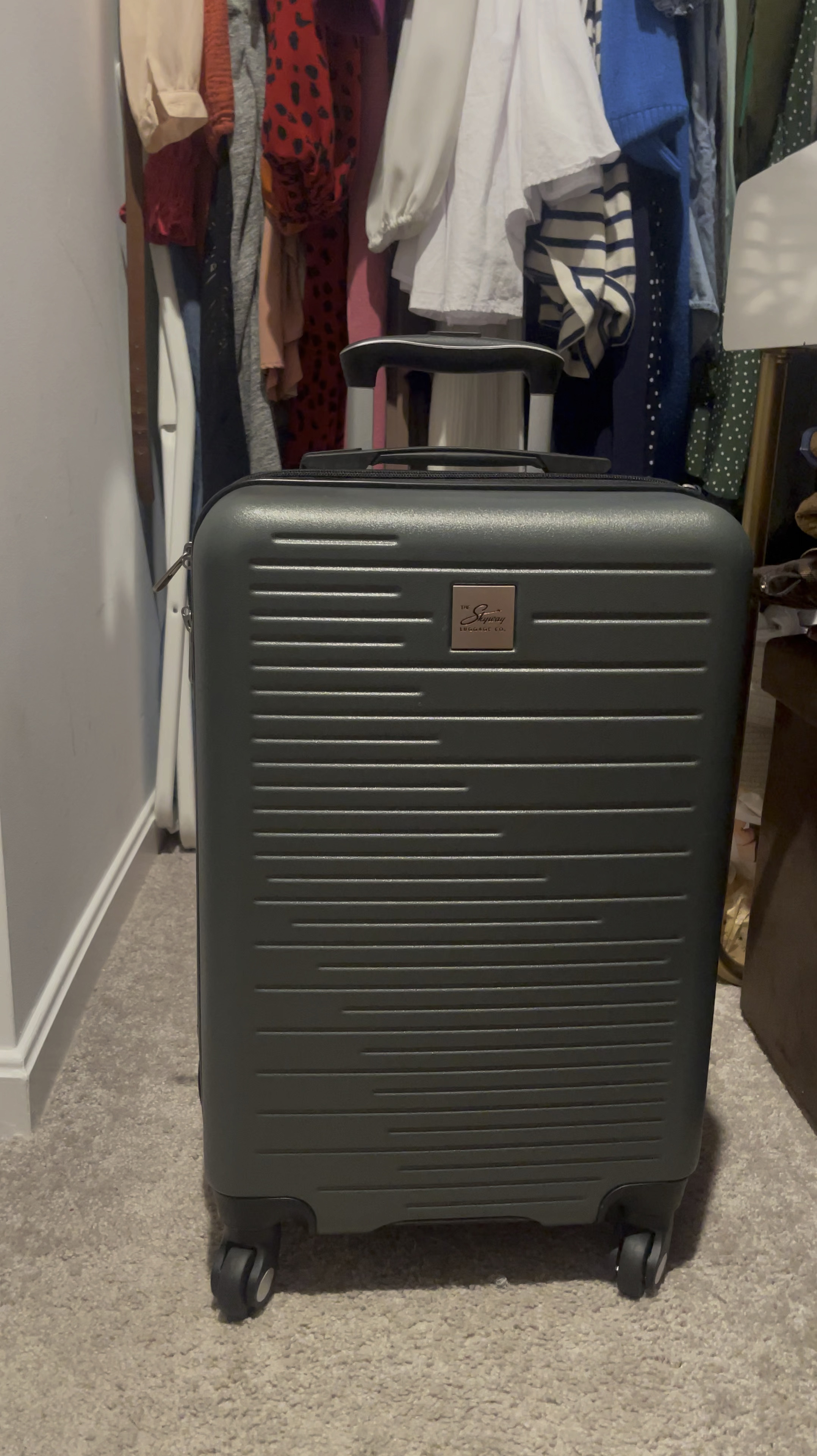 My carryon luggage is on sale! It comes in a few other colors but I love this green color! 

#LTKItBag #LTKU #LTKTravel