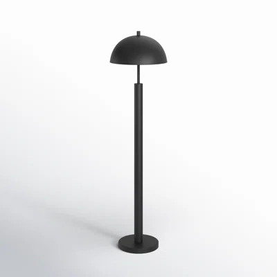 Rialta 58" Floor Lamp | Wayfair North America