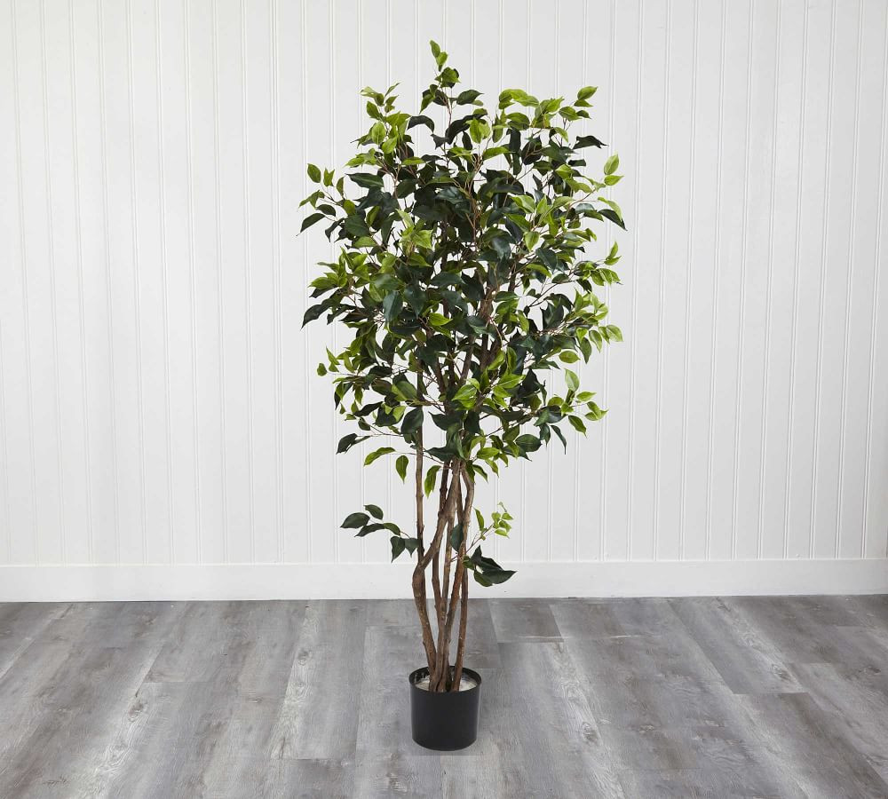 Faux Potted Ficus Bushy Tree | Pottery Barn (US)