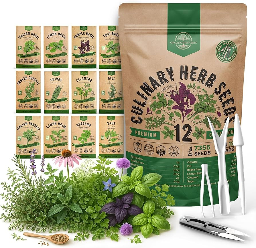 Amazon.com : Organo Republic 12 Culinary Herbs Seeds Variety Pack - 7,355+ Heirloom, Non-GMO, Her... | Amazon (US)