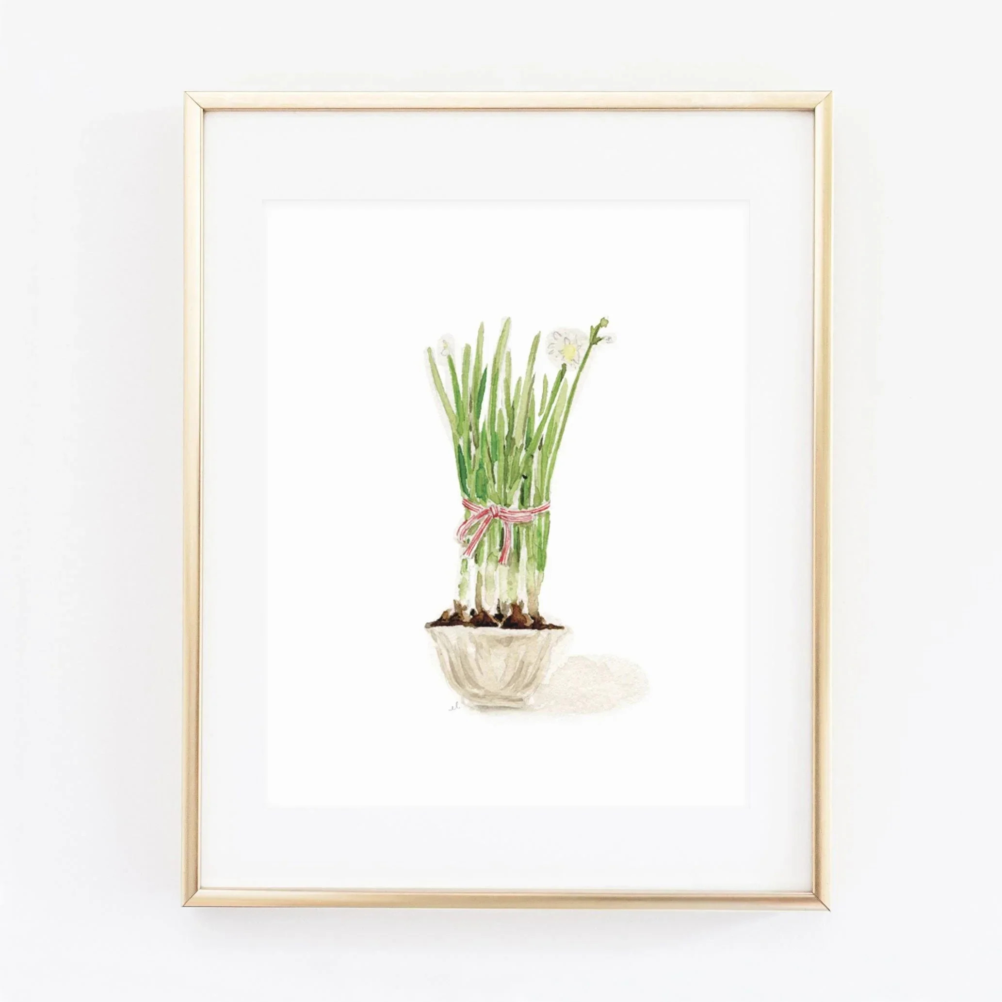 paperwhites art print | Emily Lex Studio