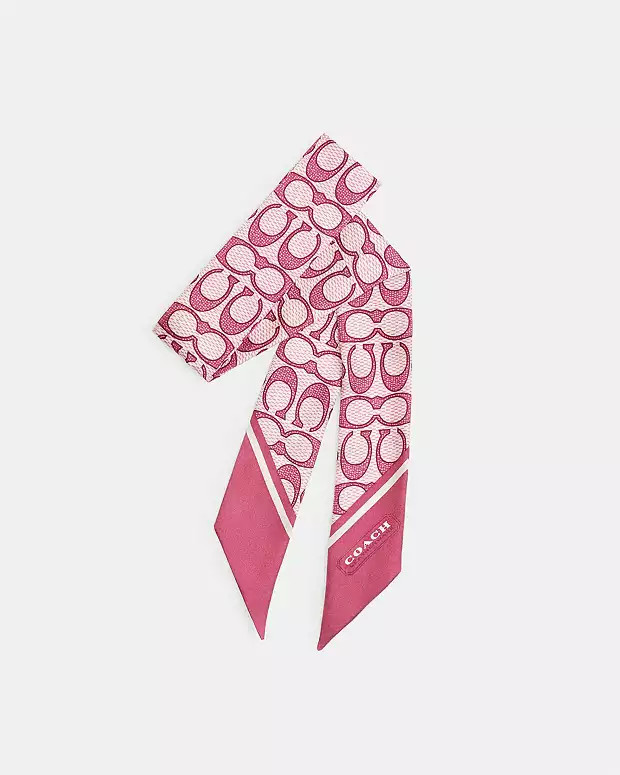 Textured Signature Print Silk Skinny Scarf | Coach (US)